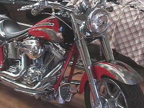 Favourite Cruiser 05 Fatty CVO