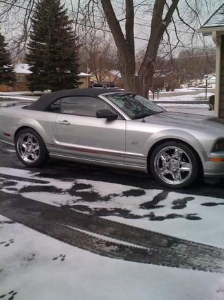 mustang 003