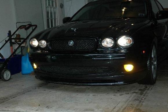 yellow fogs..