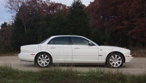 White Cat BL3