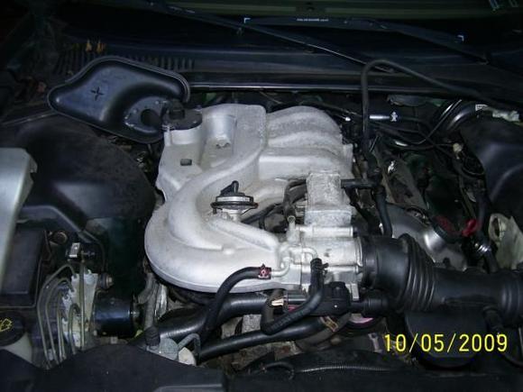 Jag pics 001