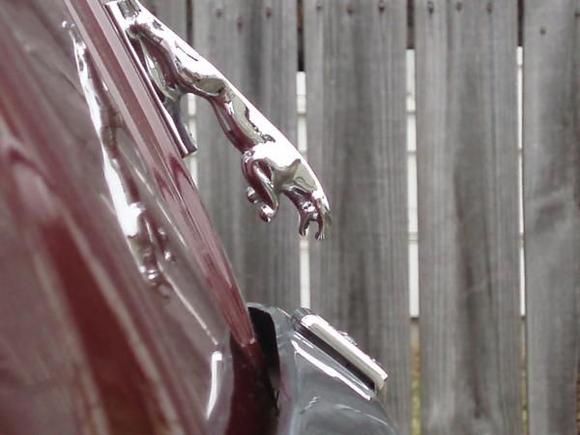 Close up - zoom

The base of the leaper is 4" to the edge of the bonnet (edge indicated in following pics)