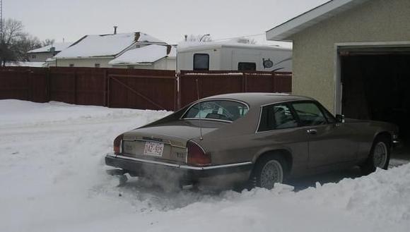 P1080239 Some days you just need to stay home