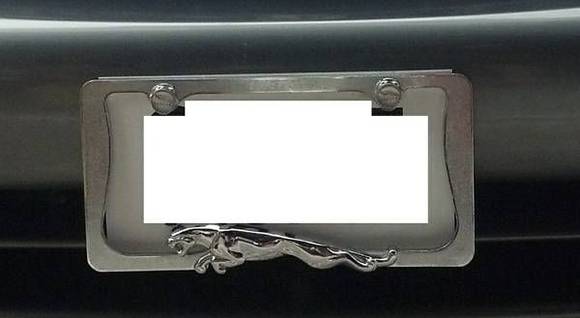 License plate frames with Jaguar bolts