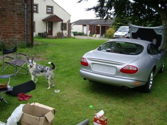 Snowy is my goaffer and head mechanic.