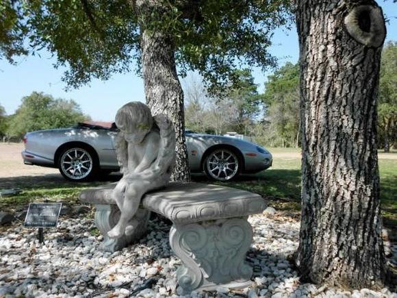 Little Angel - Ammansville, TX