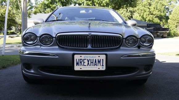 loving the cat - pesky headlamp covers!