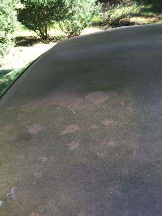 Gross ragtop3