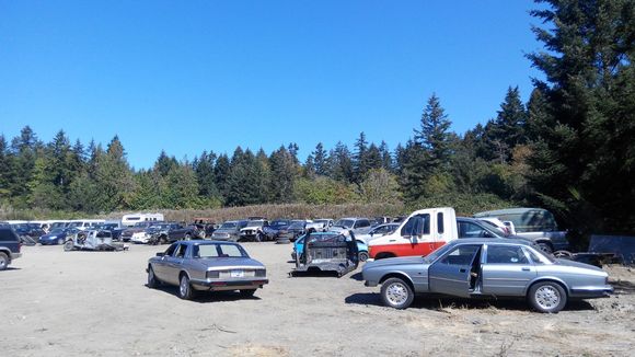 The yard - hot and dusty - will be interesting to see what happens when the rains arrive - I guess I'll be working in the mud?