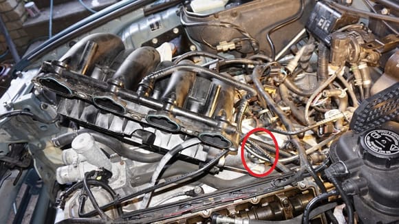 Circled in red: That clip fixes a T-piece (of a passing tube) to the lower throttle body.
