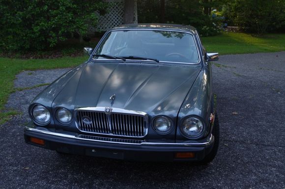 Under the trees at our house.