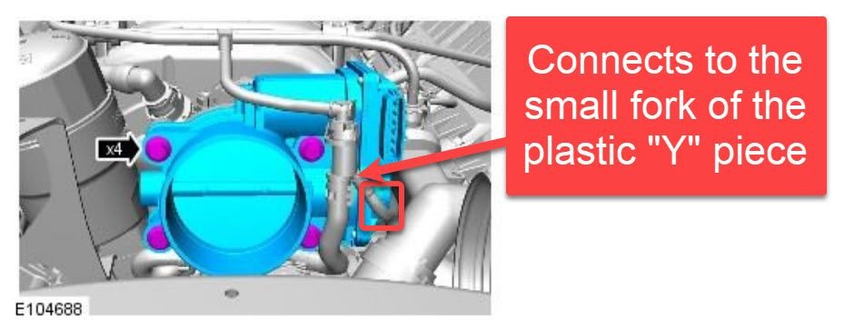 Highlights hose connecting to the plastic y-pipe attached to the throttle body hose on right side