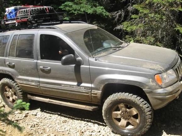 On the Whipsaw Trail