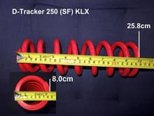 KLX 250 SF (Small)
