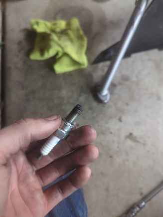 This was the spark plug I removed and I just installed a new one. 