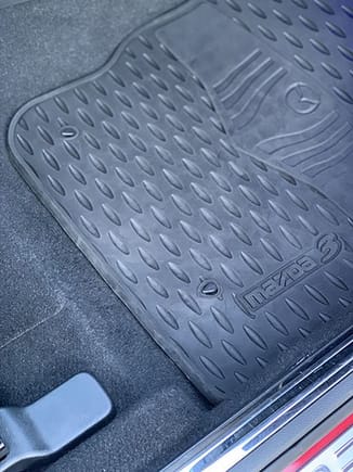 All-weather mats, front and back. Also includes original carpet mats.