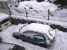 Snowy Winter Snowy Winter
