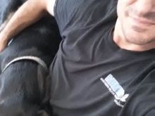 My buddy Tucker and I getting some cuddle time. He's 2 years old, Lab/American Bulldog/Collie/Shepard. I've had him for 2 months in training as my second "emotional support dog".