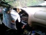 Fiber glassing rust spots on roof, took down interior
