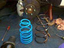 rm springs : )