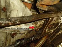 TRANSMISSION DRAIN PLUG