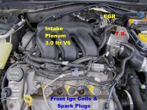 Intake Plenum. Engine Cover Off.
