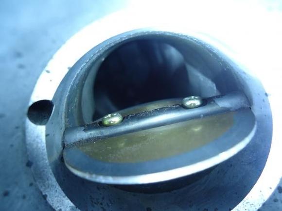 throttle plate
