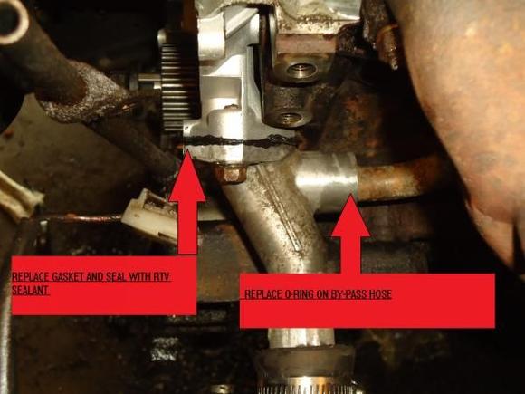 WATER PUMP/BYPASS HOSE