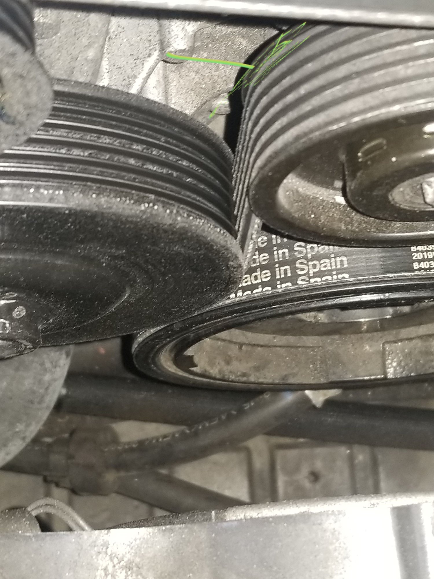 Chirping belt Forums