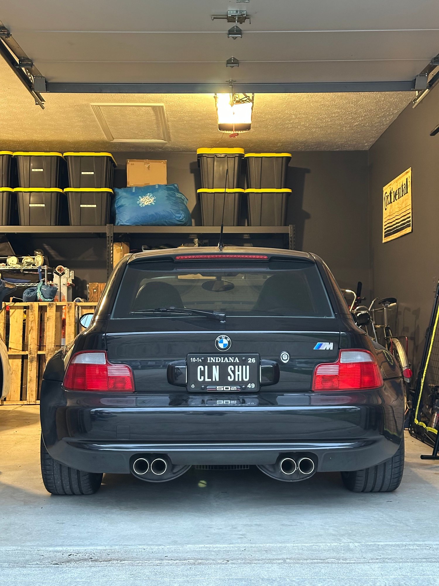 Clown shoe 