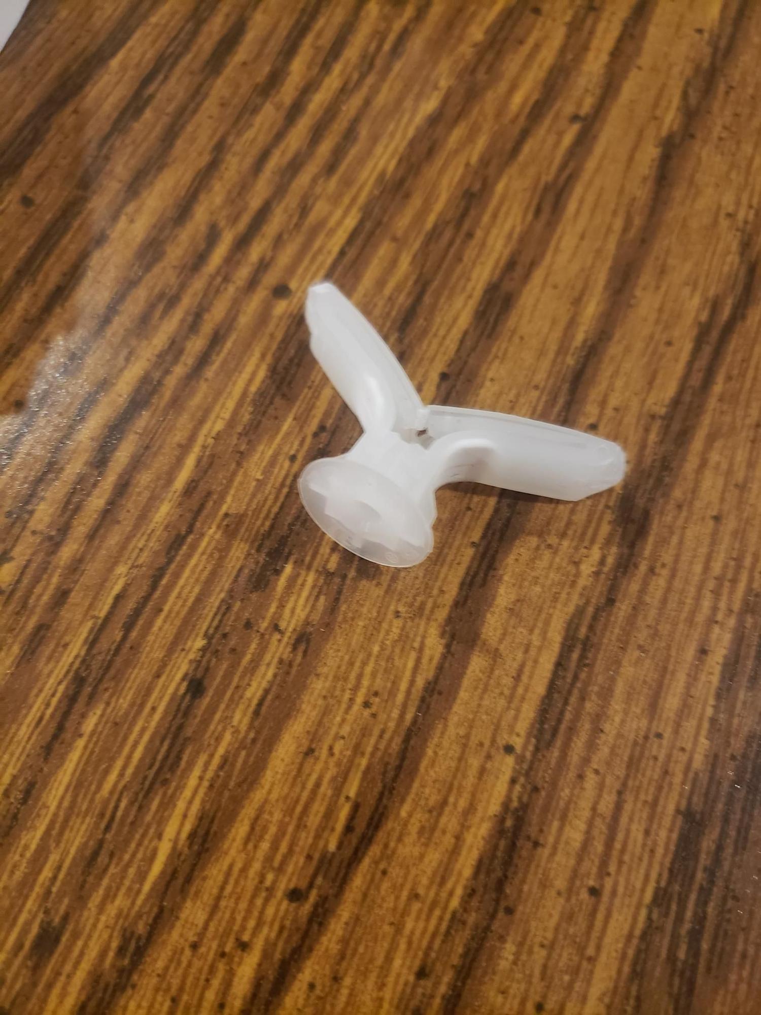 The 