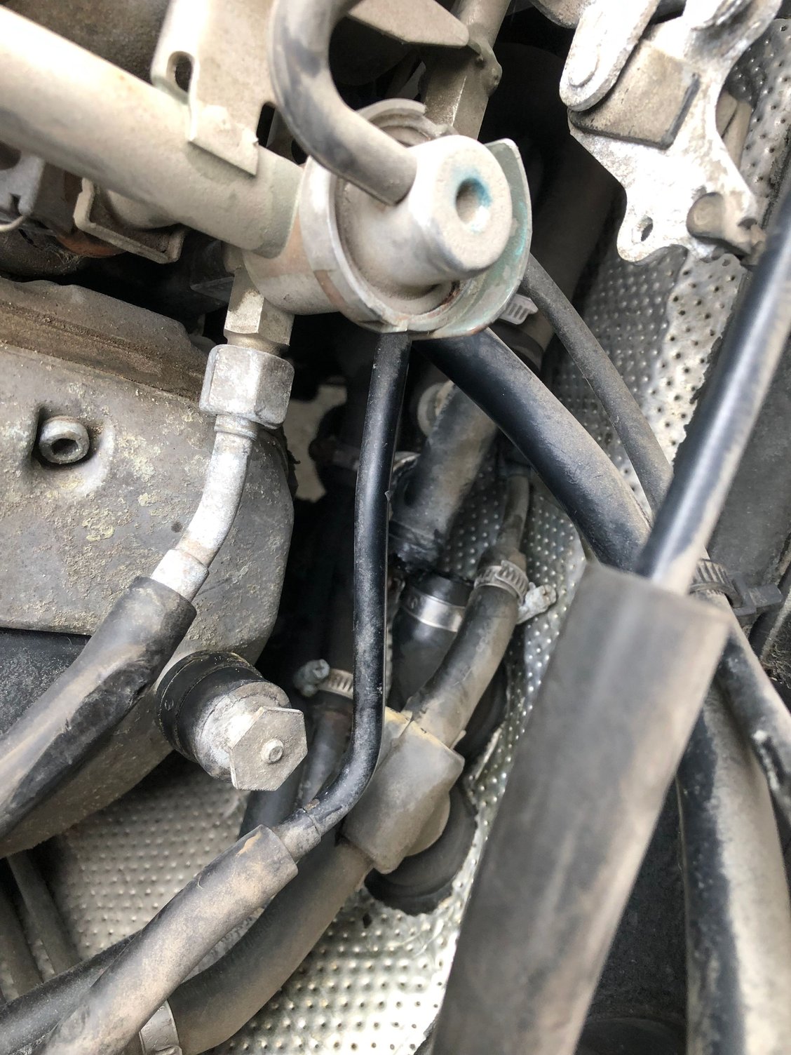 Blown hose/connector