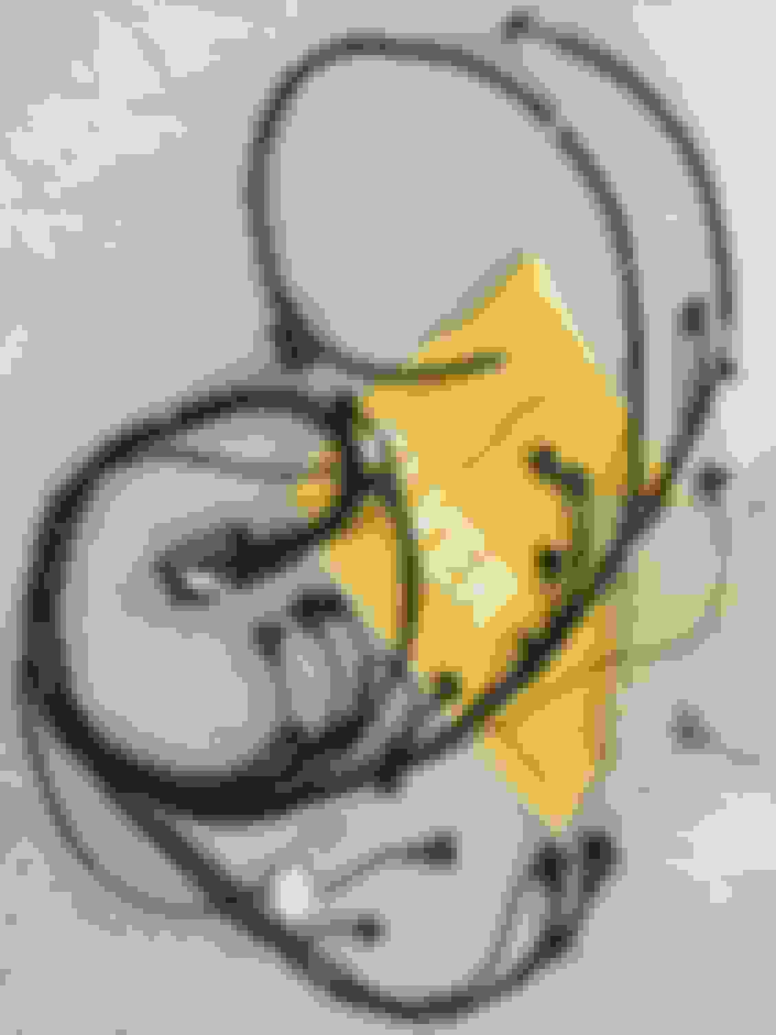 1996 C36 Engine Wiring Harness - MBWorld.org Forums