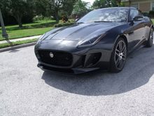 My Jaguars