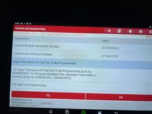 If you select SW programming manual then you able to enter the SW version you wqnt apply to your ESP