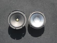 Bose 6.5&quot; woofer (crap) left, Infiniti replacement (better) right