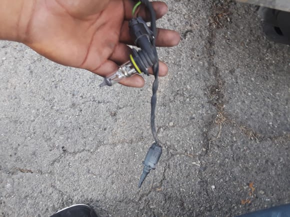 The wire in my hand is the fog light. But the pointy wire i have no idea what it is