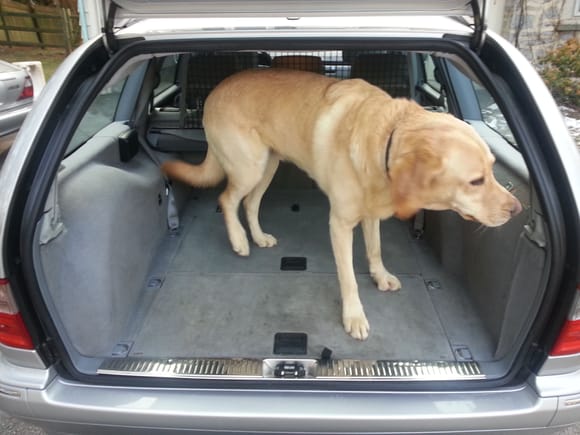 Aftermarket dog installed.