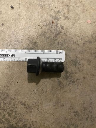 This is the OEM bolt