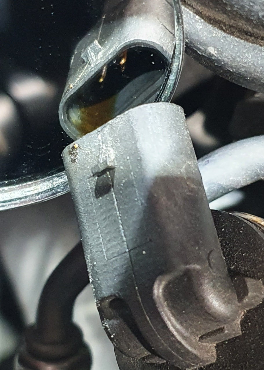What's this wet electrical connector by the oil drain? - MBWorld