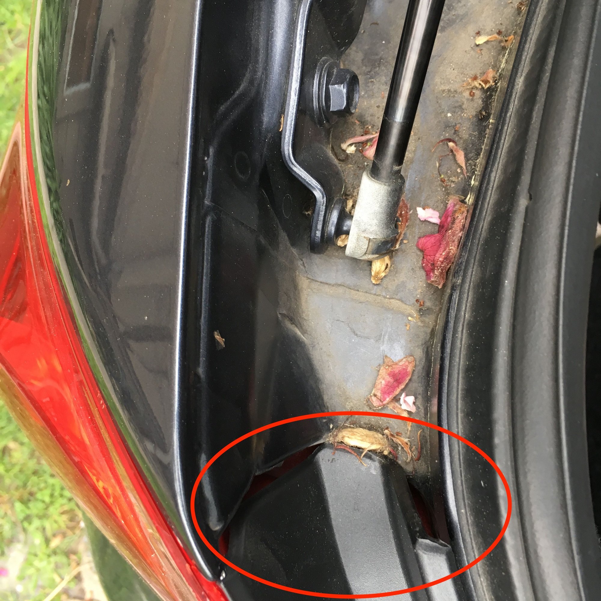 Standing water in trunk (how to seal & drain) MyG37