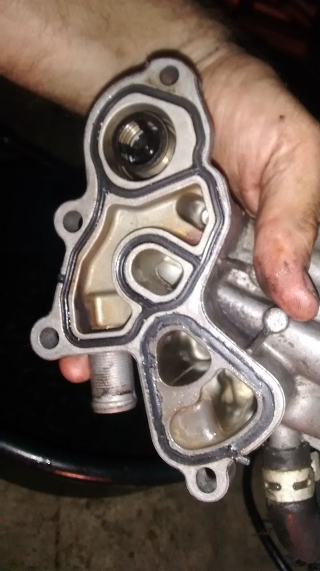 How To Oil cooler/filter housing gasket replacement Page 3 North