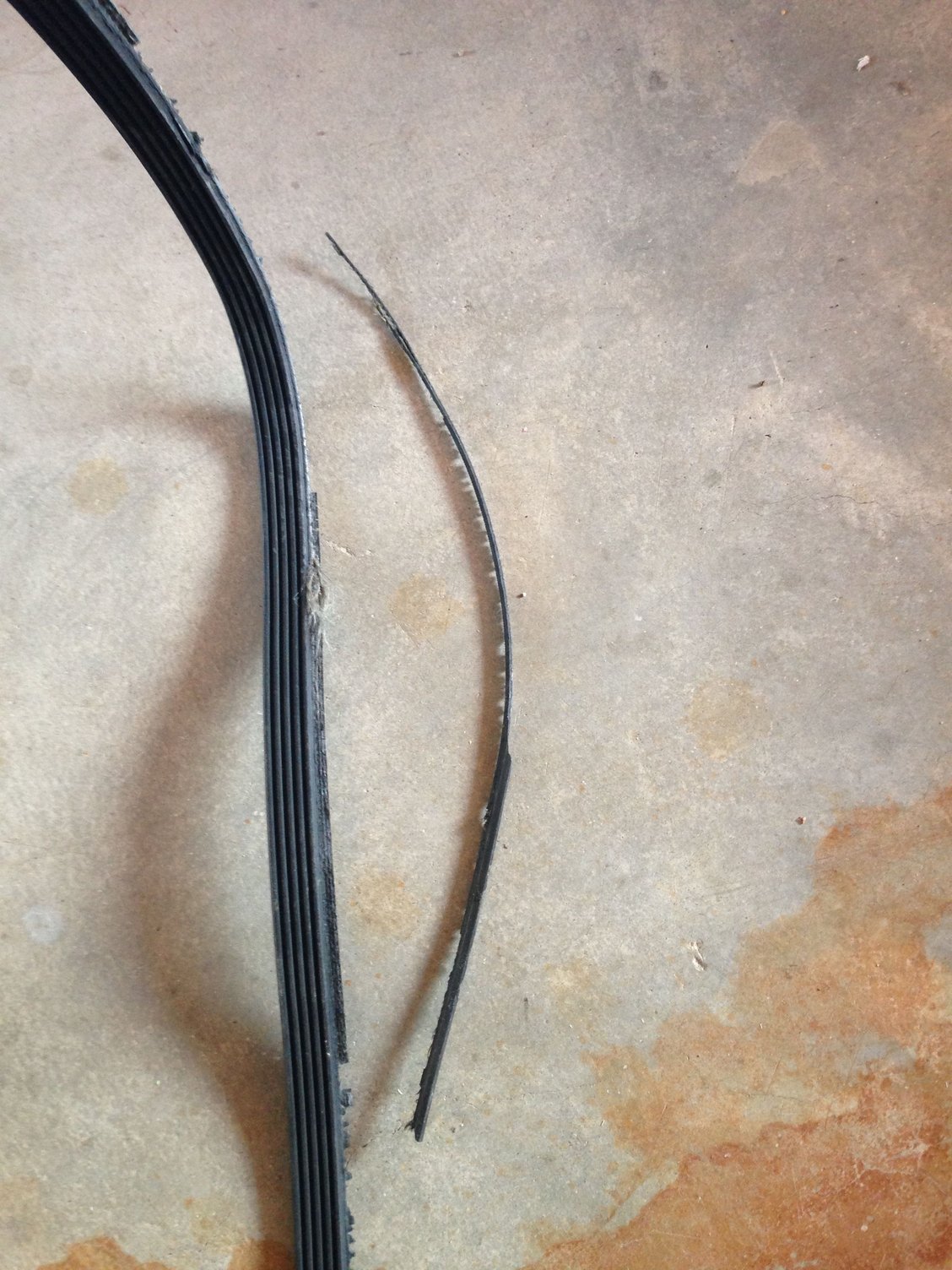 Onesided belt damage from bad harmonic balancer? North American Motoring