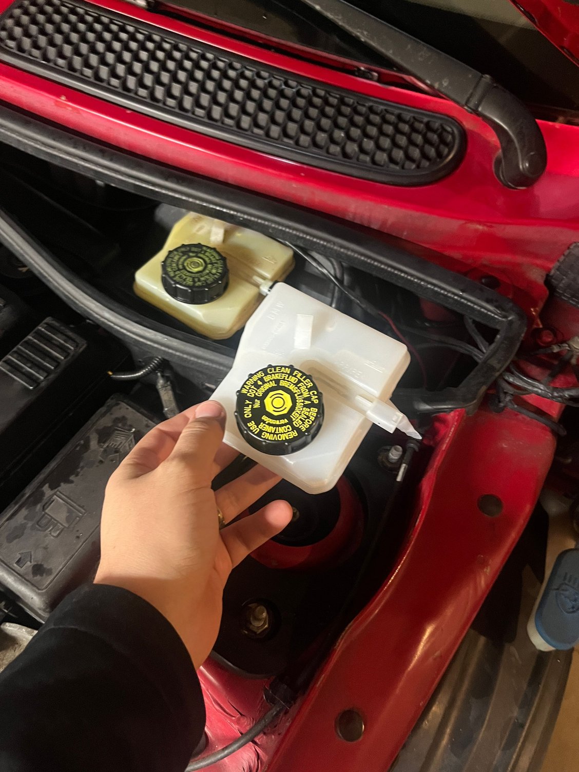 Old ones looking a bit tired