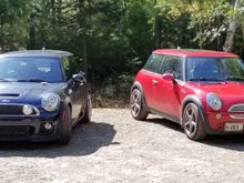 Two Mini family!