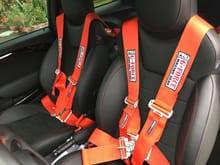 G-Force 5-Point Harnesses