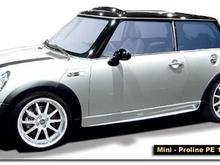 Mini Proline PE 18 inch