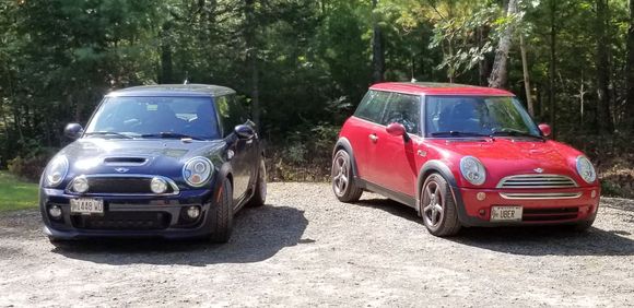 Two Mini family!