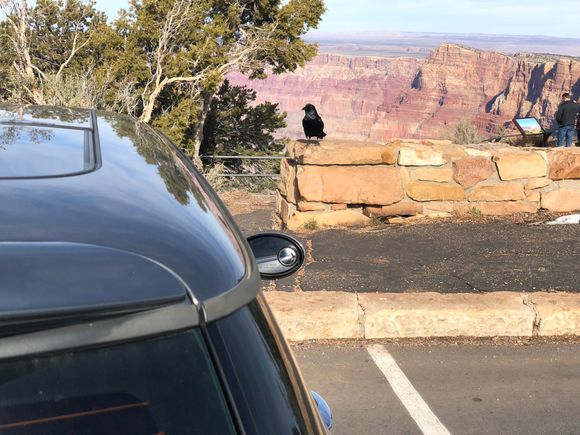 Arizona: The Grand Canyon