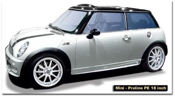 Mini Proline PE 18 inch